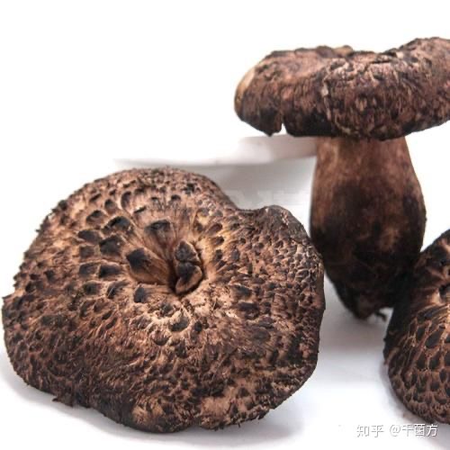 純黒トリュフ ペースト(冷凍)