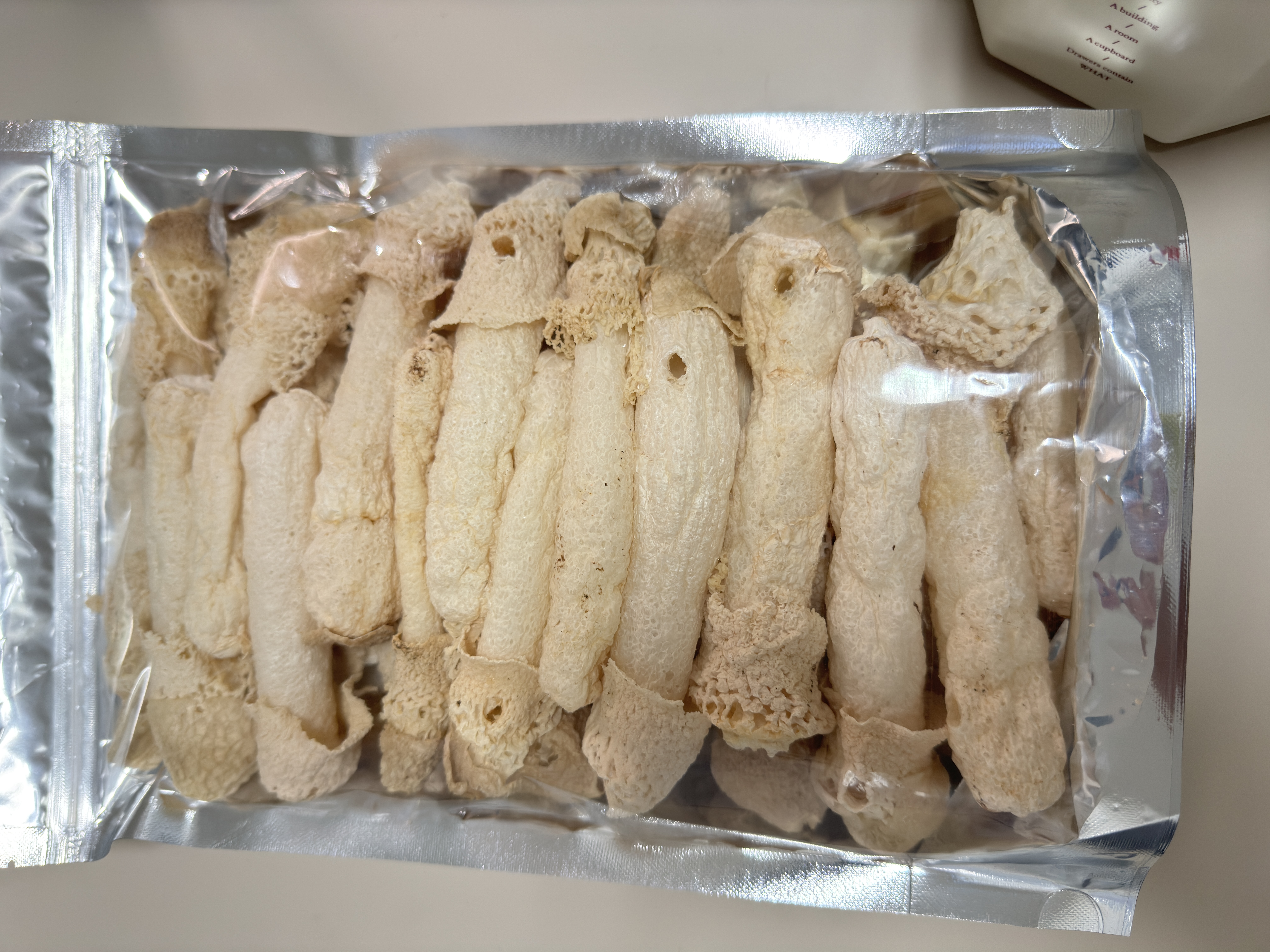 乾燥きぬがさタケ